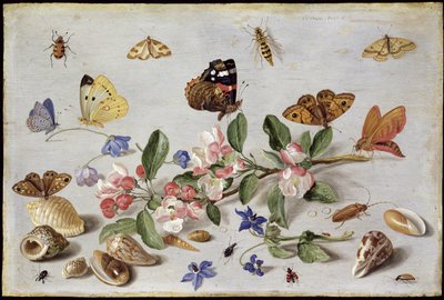 Insetos (óleo em cobre) de Jan van Kessel the Elder
